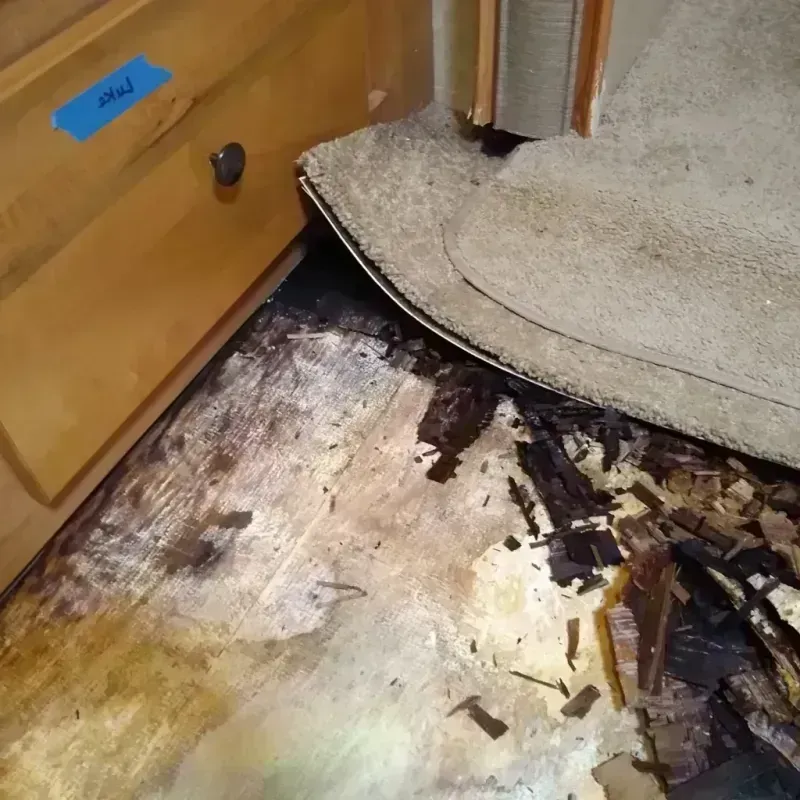 Best Wood Floor Water Damage Service in Newark, DE